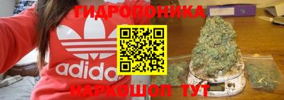 сатива Бердск