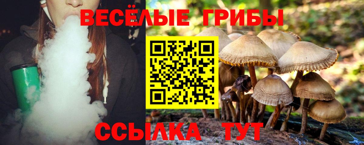 Грозный  Псилоцибиновые грибы ЛСД  наркотики  Вход с VPN 