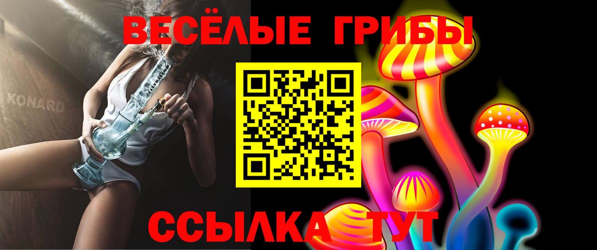 Галлюциногенные грибы Cubensis Грозный